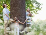 Ο κύκλος ζωής της οικογένειας ζωής οικογένειας