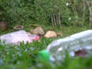 Νέο βίντεο της εκστρατείας «Ελλάδα χωρίς πλαστικά μιας χρήσης» «Ελλάδα χωρίς πλαστικά μιας χρήσης»