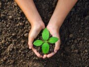 Τα φυτά έχουν συναίσθημα! Τα φυτά έχουν συναίσθημα!