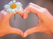 Αρωματοθεραπεία και ψυχοσωματικές διαταραχές Αρωματοθεραπεία και ψυχοσωματικές διαταραχές