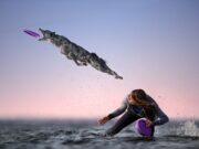 Τα βραβεία 2020 International Photography Awards (φωτογραφίες) International Photography Awards
