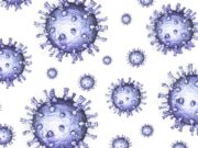 Η φυσική ανοσία μετά από λοίμωξη Covid-19 διαρκεί τουλάχιστον έξι μήνες Η φυσική ανοσία μετά από λοίμωξη Covid-19 διαρκεί τουλάχιστον έξι μήνες