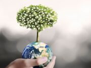 Όσους περισσότερους χώρους πρασίνου έχει μία περιοχή τόσα λιγότερα είναι τα κρούσματα Covid-19 Όσους περισσότερους χώρους πρασίνου έχει μία περιοχή τόσα λιγότερα είναι τα κρούσματα Covid-19