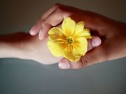 Ουίλιαμ Σέξπιρ: «Έμαθα πως…»