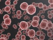 Οι ανεμβολίαστοι που μολύνονται από «Όμικρον 2» δεν αναπτύσσουν αντισώματα ανεμβολίαστοι Όμικρον 2