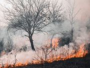 O καπνός από τις δασικές πυρκαγιές και οι επιπτώσεις στην υγεία O καπνός από τις δασικές πυρκαγιές και οι επιπτώσεις στην υγεία