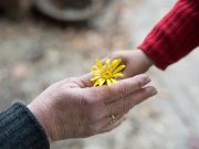 Εθελοντισμός και φροντίδα των εγγονιών προστατεύουν από τη μοναξιά μετά τα 50 Εθελοντισμός και φροντίδα των εγγονιών προστατεύουν από τη μοναξιά μετά τα 50