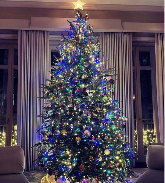 Κλέβουν τις εντυπώσεις τα χριστουγεννιάτικα δέντρα των διασήμων