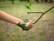 Η συχνή επαφή με τη φύση συνιστά αντίδοτο για τα αγχολυτικά, αντι-υπερτασικά και άλλα φάρμακα Η συχνή επαφή με τη φύση συνιστά αντίδοτο για τα αγχολυτικά, αντι-υπερτασικά και άλλα φάρμακα