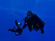 Τα βραβεία του μεγαλύτερου στον κόσμο διαγωνισμού υποβρύχιας φωτογραφίας Τα βραβεία του μεγαλύτερου στον κόσμο διαγωνισμού υποβρύχιας φωτογραφίας