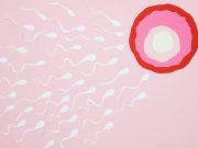 Ένας στους έξι ανθρώπους παγκοσμίως εμφανίζει υπογονιμότητα Ένας στους έξι ανθρώπους παγκοσμίως εμφανίζει υπογονιμότητα