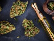 Κάνναβη και αλκοόλ, ψηλά στις προτιμήσεις των εφήβων Κάνναβη και αλκοόλ,