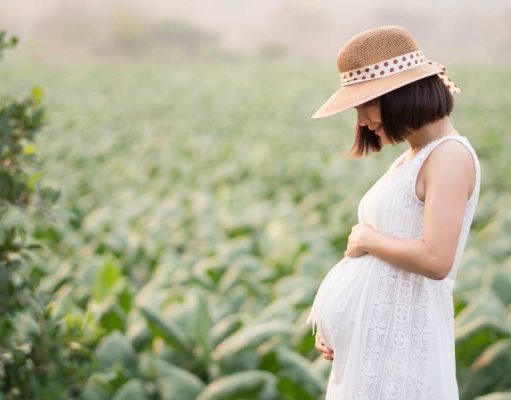 Εξωσωματική γονιμοποίηση: είναι ασφαλής; Εξωσωματική γονιμοποίηση