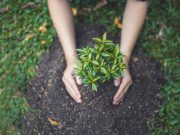 Οι άνθρωποι που ζουν κοντά σε πράσινους χώρους είναι βιολογικά νεότεροι Οι άνθρωποι που ζουν κοντά σε πράσινους χώρους είναι βιολογικά νεότεροι