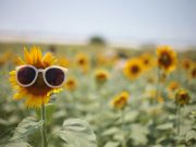 Δεν μου αρέσει το καλοκαίρι και δεν ξέρω γιατί Δεν μου αρέσει το καλοκαίρι και δεν ξέρω γιατί